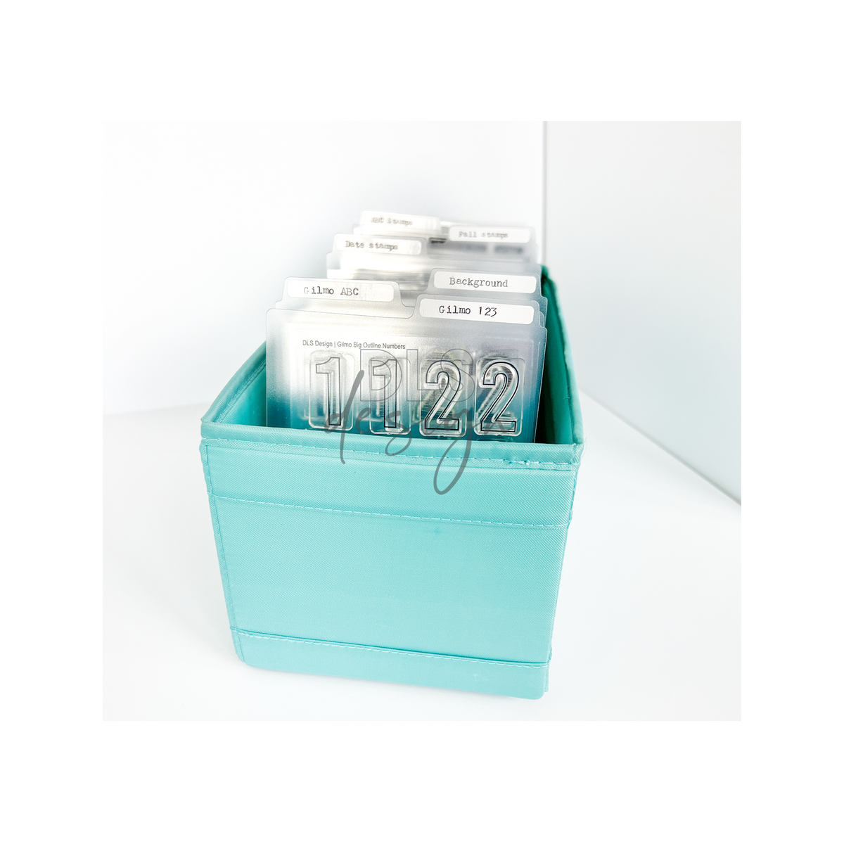 Transparent dividers with tabs