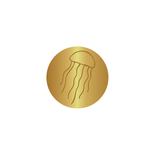 Wax Seal Stamp Jellyfish