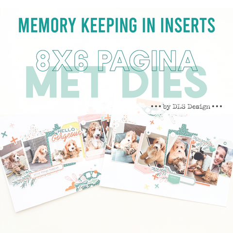 KREADOE 24/10/2025 | 8x6 pagina met dies (11:15)
