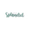 Acrylic Shape Splendid