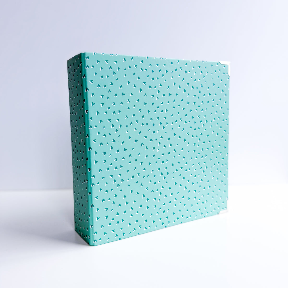 Chipboard album 6x8 Wide Spine Mint Hearts
