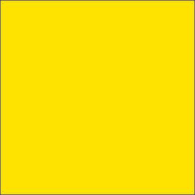 Embroidery Floss - Bright Canary