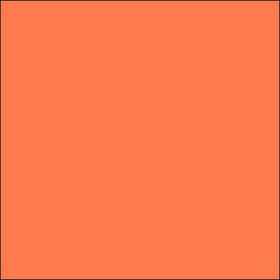 Embroidery Floss - Burnt Orange