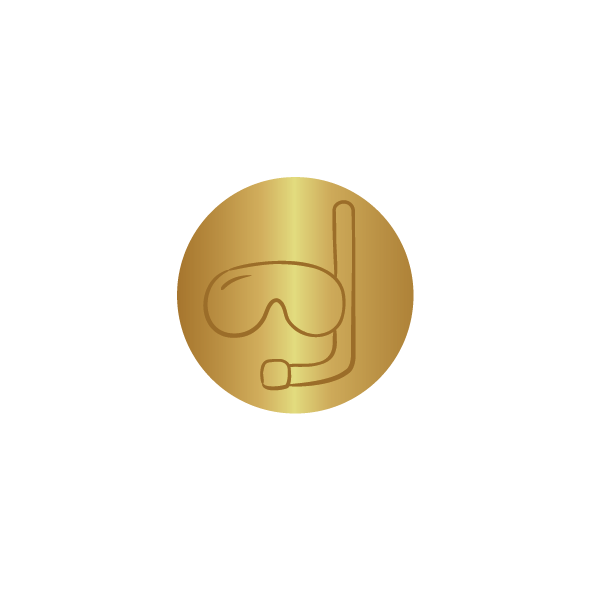 Wax Seal Stamp Snorkel Squad